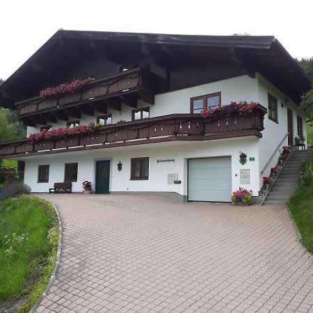 Ferienwohnung Wieser Reizegg 7, 5652 Dienten Dienten am Hochkoenig Exterior photo